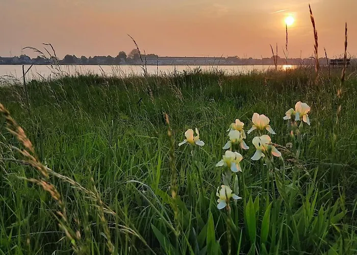 Lejlighed Leuchtturmidyll Harriersand *